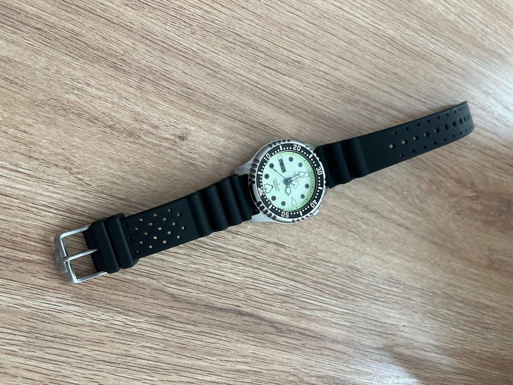 시티즌 복어 풀루메 NY0040 오토매틱 판매합니다 이미지