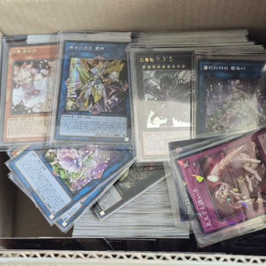 유희왕 카드(일괄) 이미지