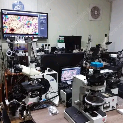 전문가용 3안CCD 편광현미경 대여렌탈 이미지
