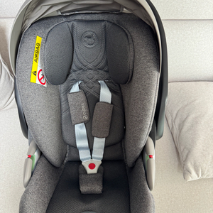 싸이벡스 클라우드티 아이사이즈 신생아 바구니(그레이) 클라우드 T 포함 판매합니다(직거래) 이미지