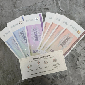 레드캡투어 상품권 290만원 이미지