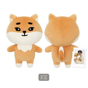 데이식스 자이언트 데니멀즈 케 양도 이미지