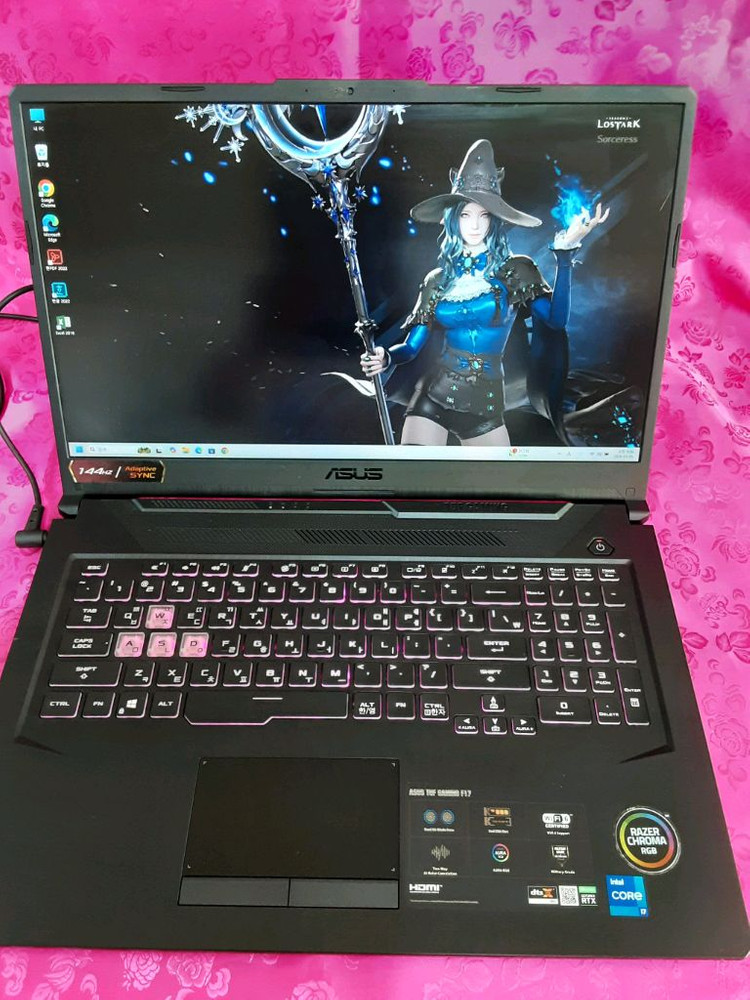 ASUS TUF F17 (17인치 대화면)144Hz 게이밍노트북 RTX3050 이미지