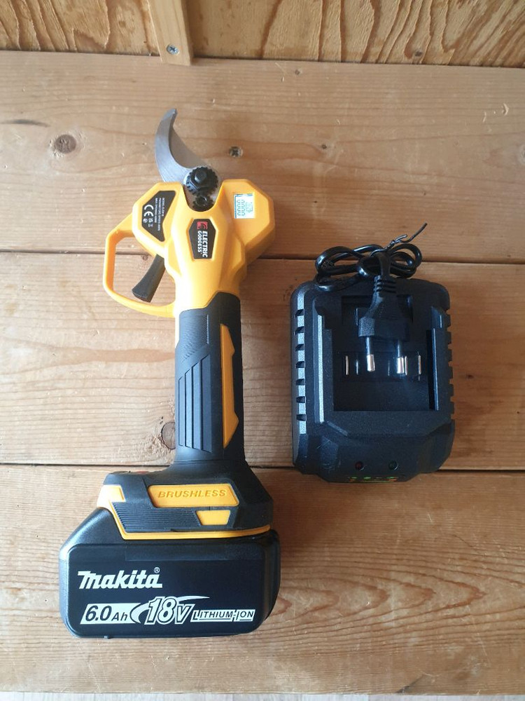 전동 가위 이미지