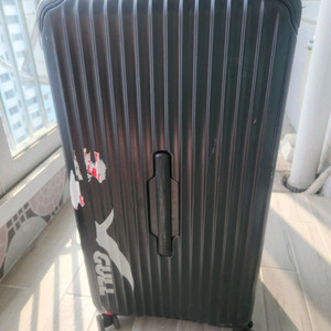 걸 하드쉘 케리어 이미지