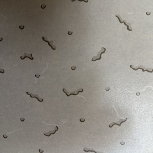 알로항 머니 삽니다 이미지