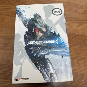 핫토이 메탈기어라이징 라이덴 이미지