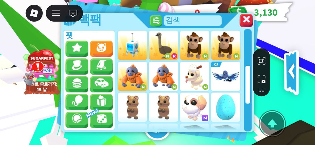 입양하세요 펫 팔아요 이미지