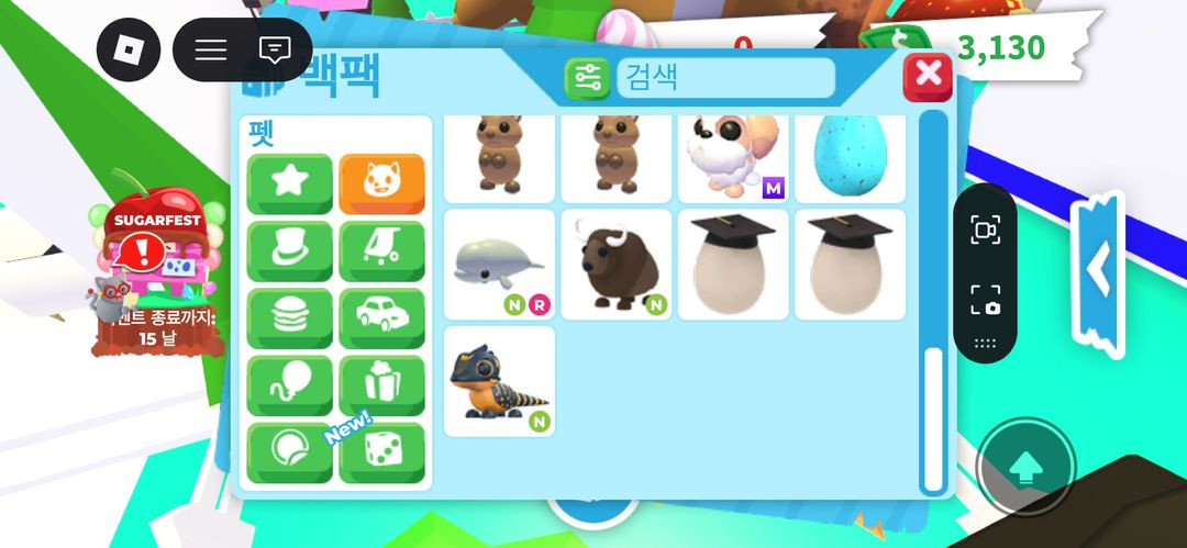 입양하세요 펫 팔아요 이미지