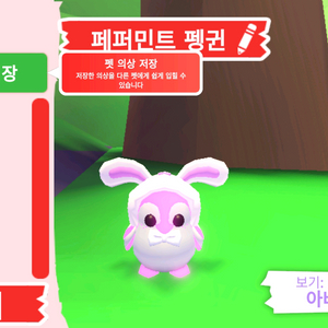 입양하세요 펫 메가네온 페퍼민트 펭귄(메페펭)판매합니다 이미지