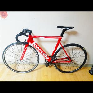 써벨로 t1 이미지