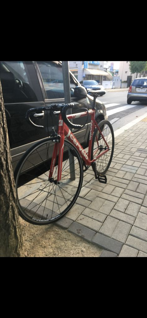 써벨로 t1 이미지