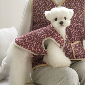 알로항 100:1 팔아요 이미지