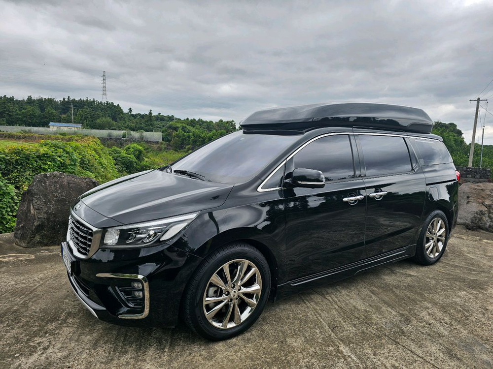 더뉴카니발하이리무진 이미지