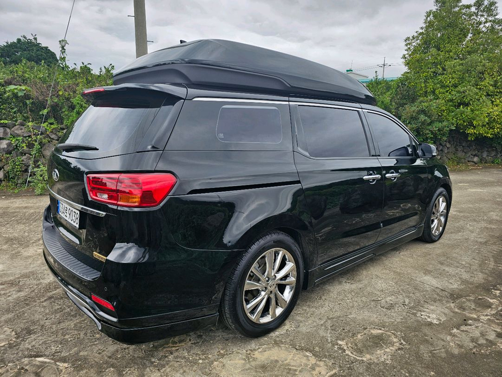 더뉴카니발하이리무진 이미지