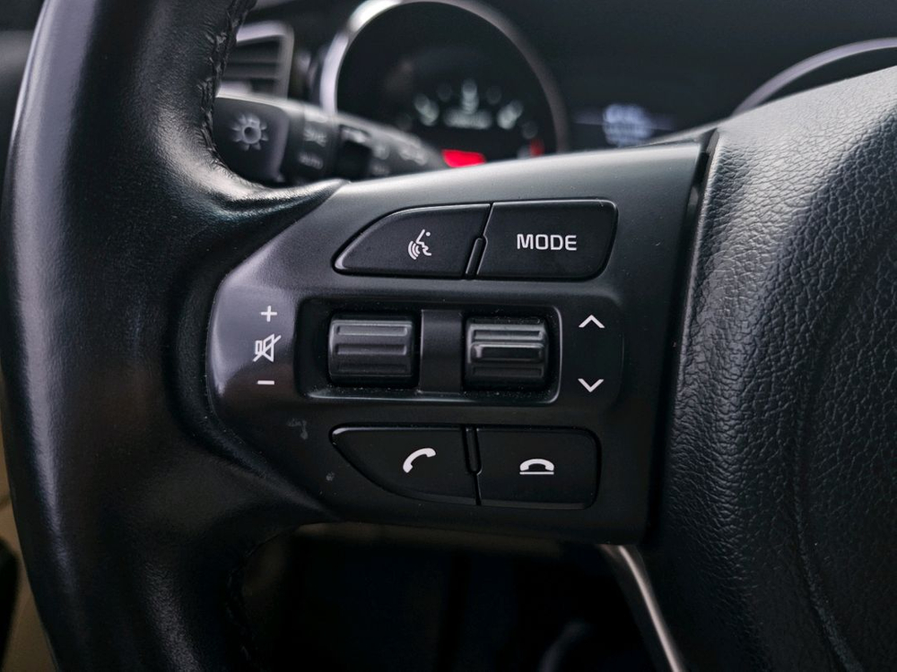 더뉴카니발하이리무진 이미지