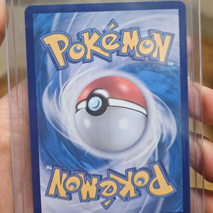 포켓몬카드 메가지가르데 EX mur 이미지