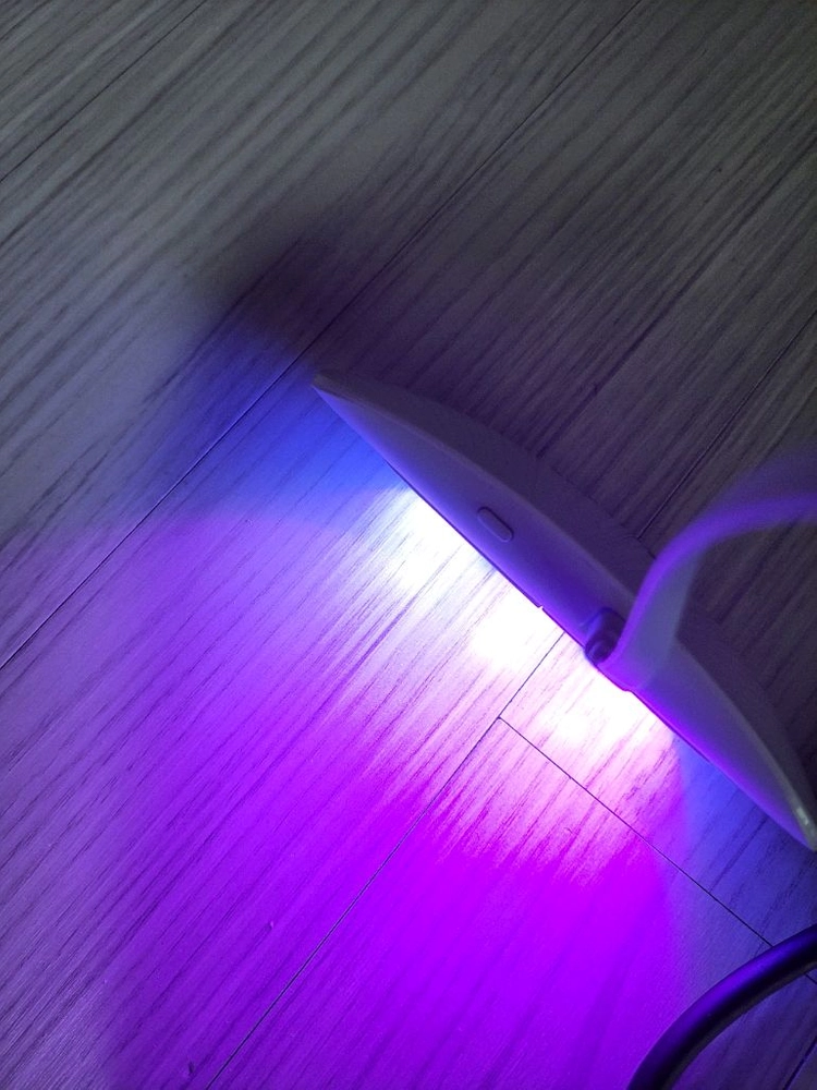 오호라 젤램프 이미지