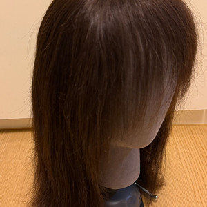 박승철 위그 여성 인모 가발 이미지