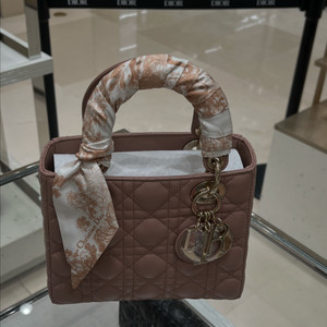 디올 레이디백 스몰 파드(스카프포함) 이미지