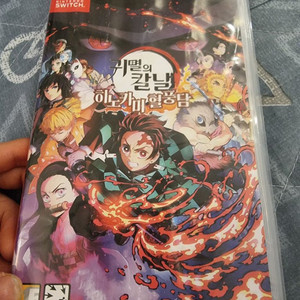 닌텐도 히노카미 혈풍담 칩 이미지