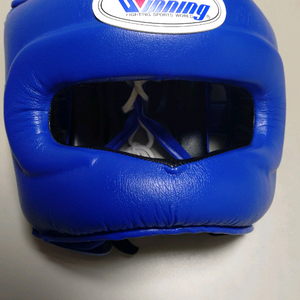 위닝 코보호 헤드기어 FG-5000 이미지