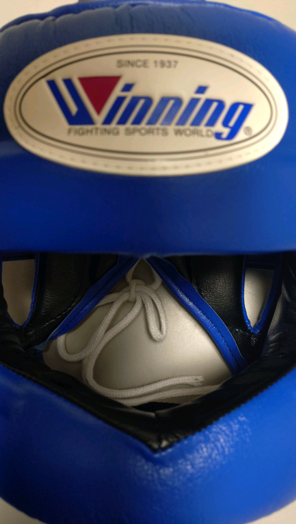 위닝 코보호 헤드기어 FG-5000 이미지