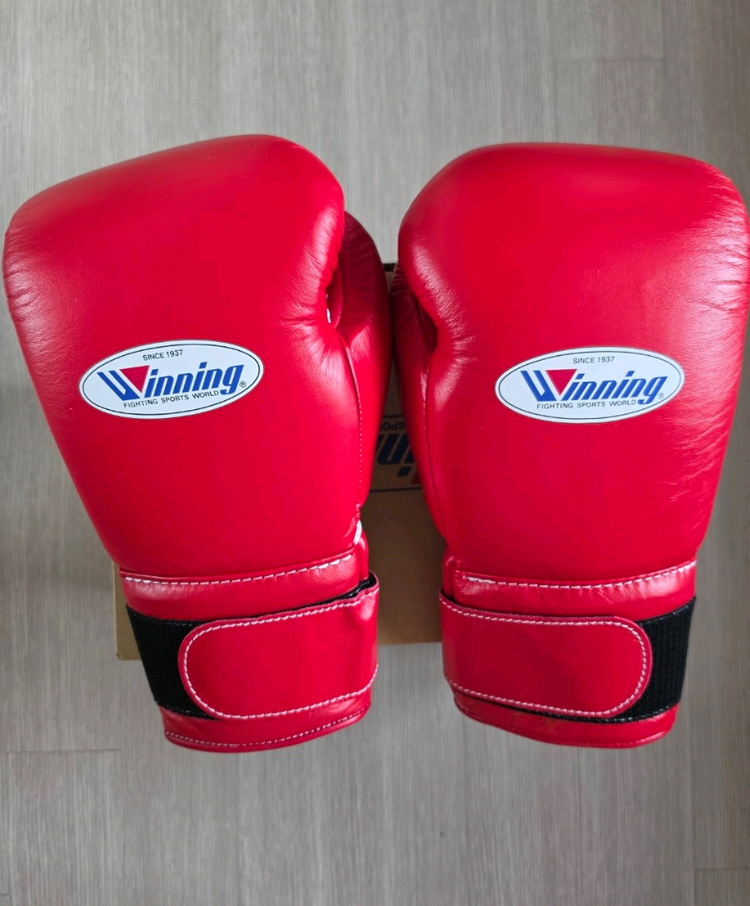 위닝 14온스 글러브 이미지