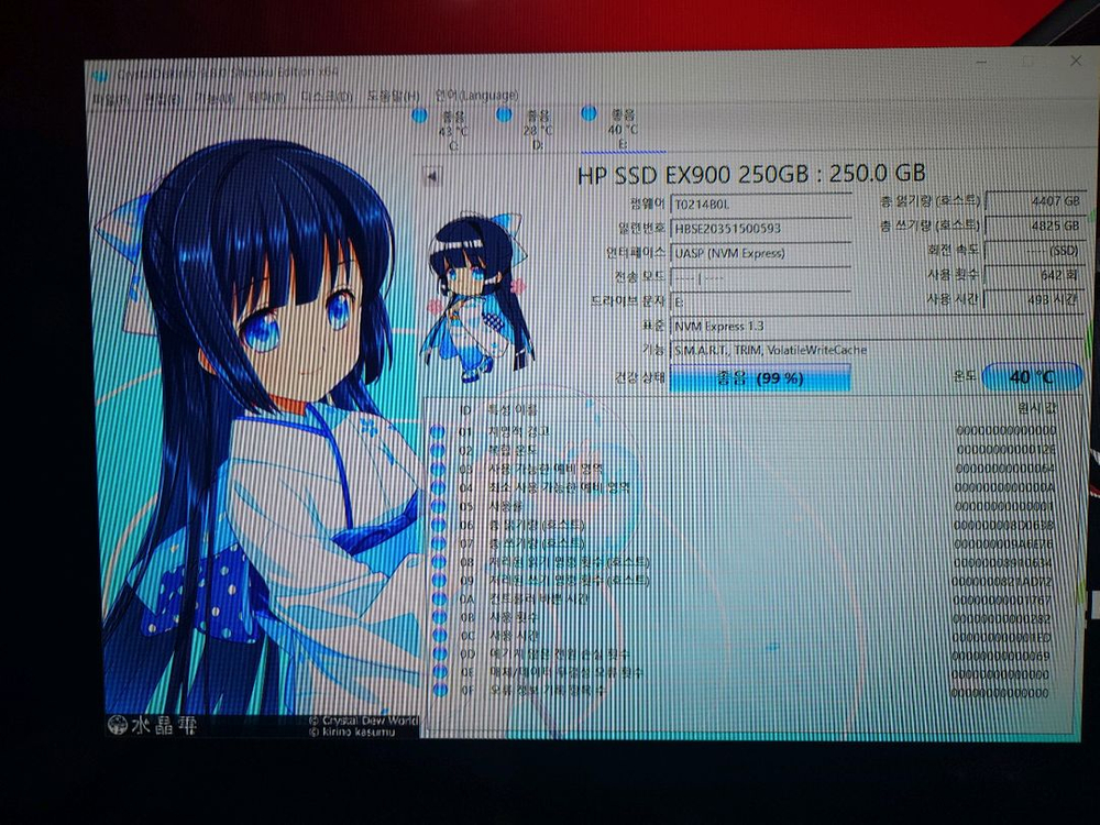 M.2 NVMe 256GB 2개 판매합니다 이미지