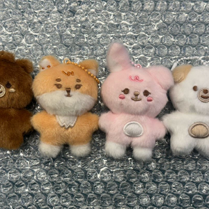 데이식스 데니멀즈 쁘쁘멀즈 쁘쁘멀 방케필돈 petit mini bangkepildon 이미지