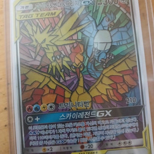 포켓몬카드 GX 태그팀 스타일러드 이미지