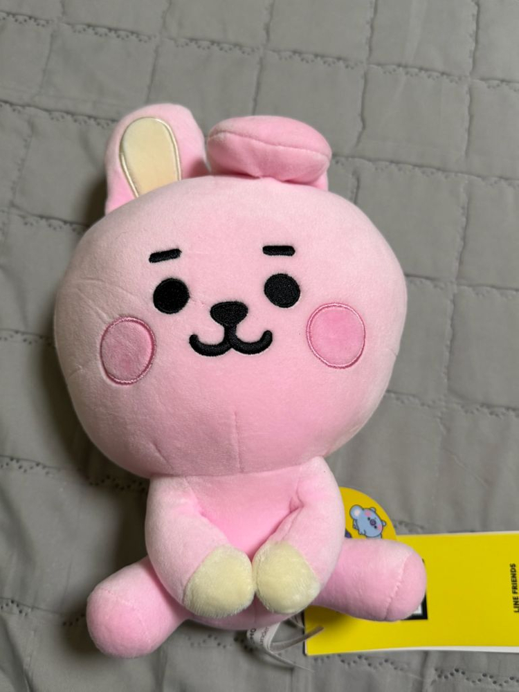 BT21 쿠키, 슈키 인형 이미지