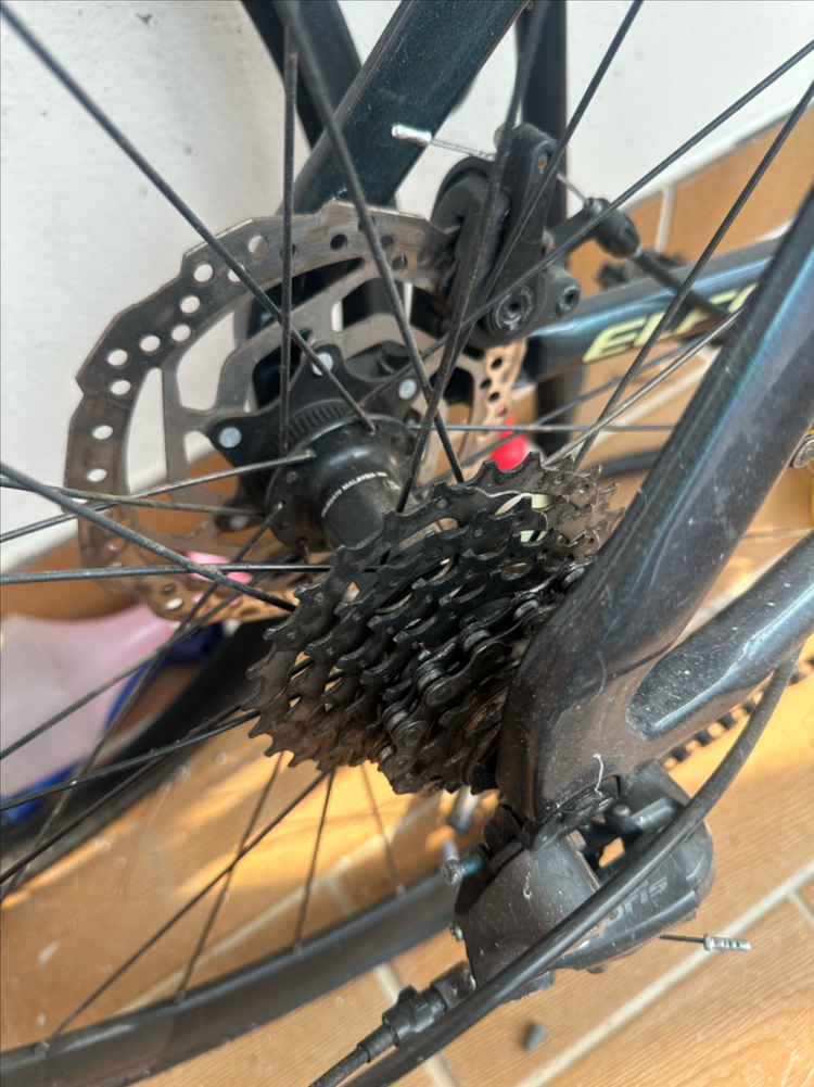 엘파마 에포카 e2000d 이미지