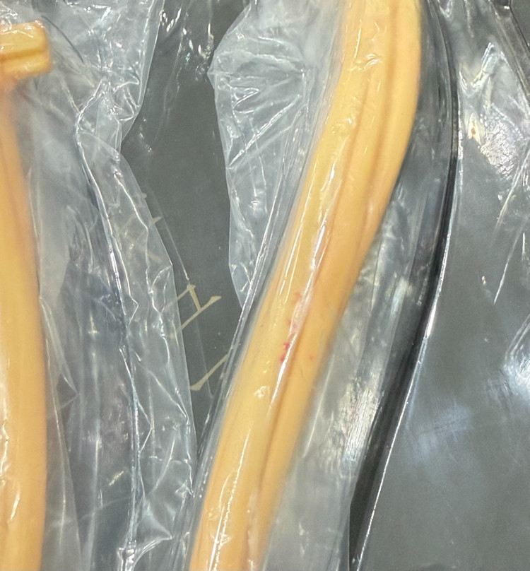 요시토쿠 x 페넥스 1/4스케일 피규어 코바야시네 메이드래곤 칸나, 토르 일본인형Ver. 이미지