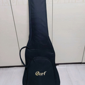 콜트 레스폴 일렉기타 + 가방 이미지