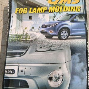 QM5 자동차 전용 안개등 커버 크롬몰딩 이미지