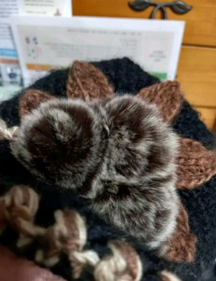 여성 비니 와치캡 겨울 도톰한 기모 패션 니트 모자 이미지