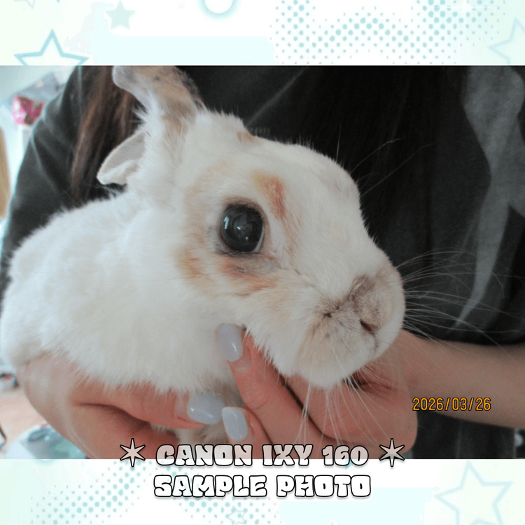 캐논 익시 IXY 160 (익서스 165) 빈티지 디카 차콜 이미지