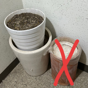 대형 화분 무료나눔 해요 이미지