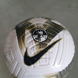 프리미어 리그 클럽 엘리트 축구공 이미지