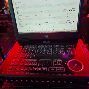 엘프반주기919 모델 판매합니다 이미지