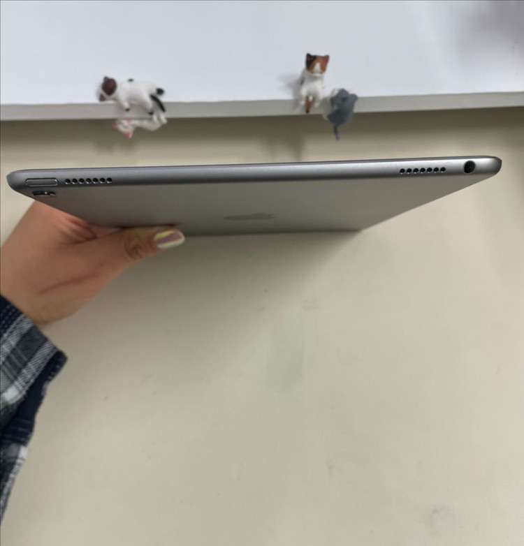 아이패드프로 9.7 32G 그레이 WIFI S급 이미지