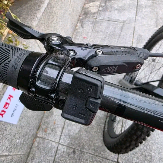 전기자전거emtb 트렉 레일 9.9 판매 이미지