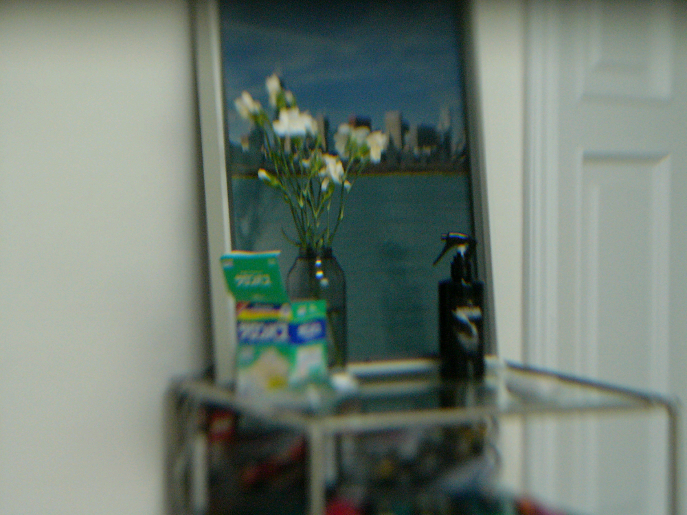 Leica dijilux2 수리 부품용 판매 이미지