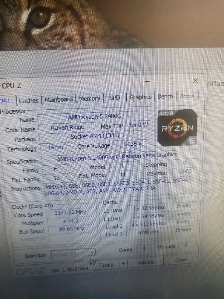 amd 2400g 씨피유 판매합니다. 이미지