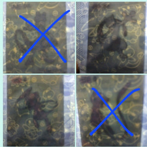 무료배송 포켓몬띠부씰 1세대 3자리 뮤츠 뮤 1개 선택 미개봉 띠부띠부씰 이미지