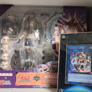 스네일쉘 마스카레나 이미지