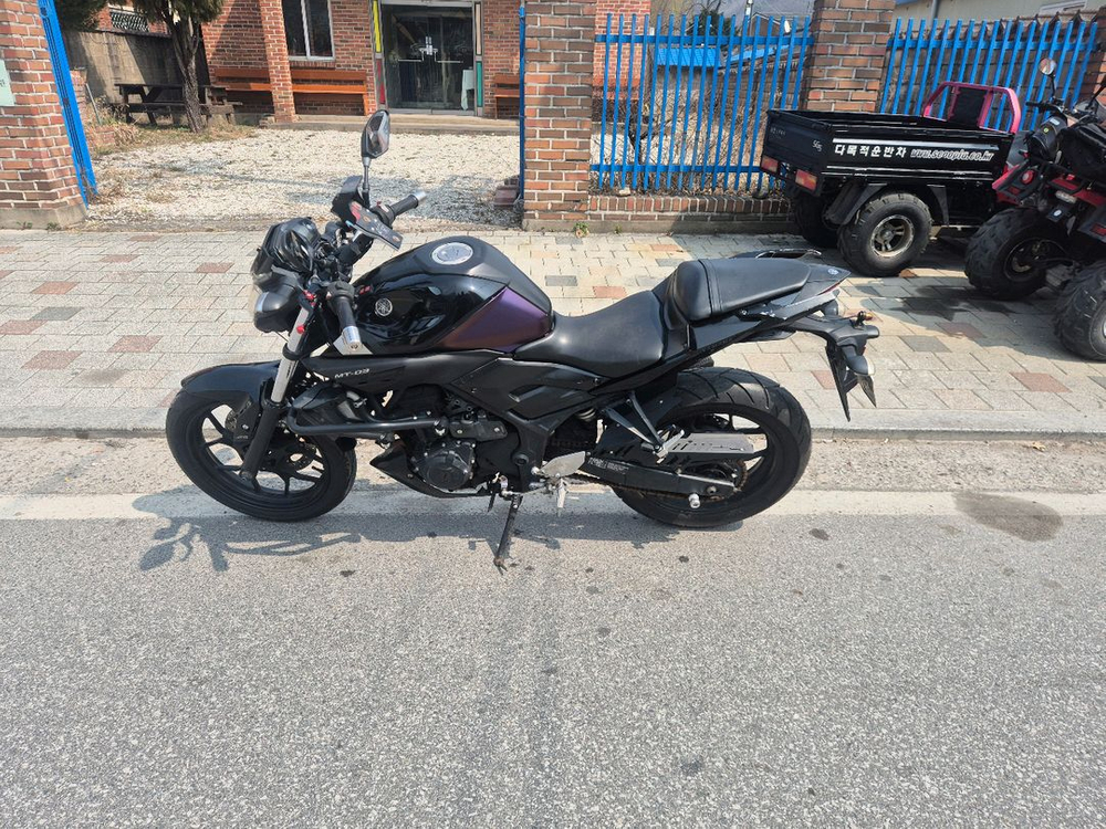 16년식mt03풀배기 이미지