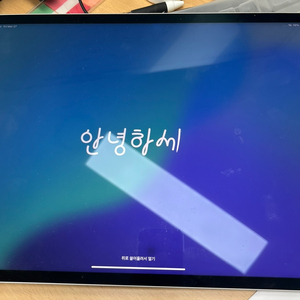 아이패드 프로 12.9 5세대 셀룰러 256g 부품용 판매합니다 이미지