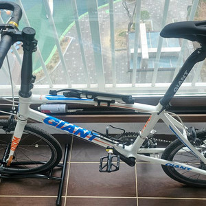 자이언트 이디엄 미니스프린터 미니벨로 이미지